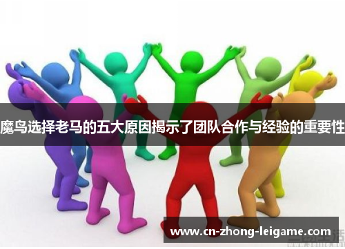 魔鸟选择老马的五大原因揭示了团队合作与经验的重要性 魔鸟选择老马的五大原因揭示了团队合作与经验的重要性